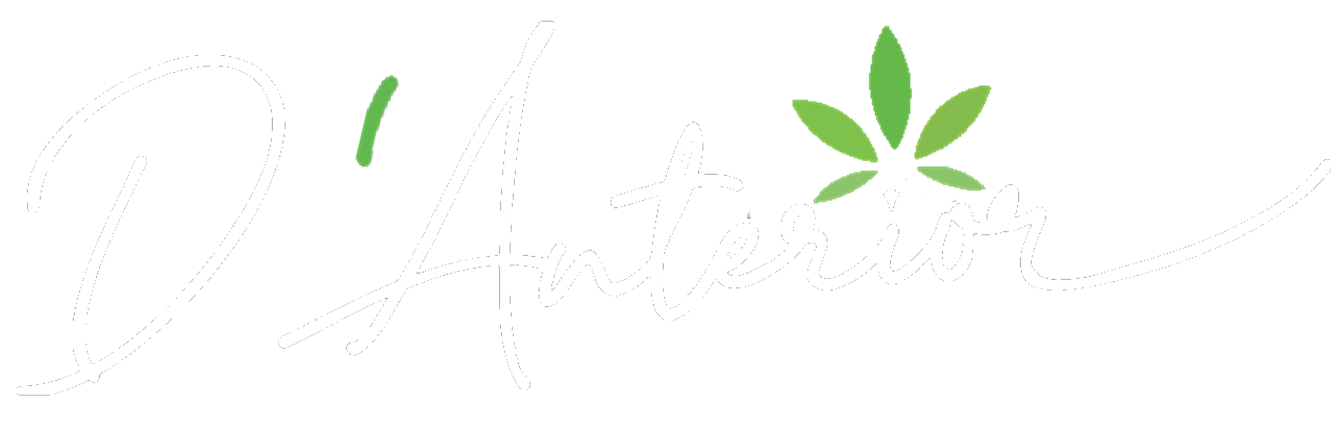 D'anterior Logo